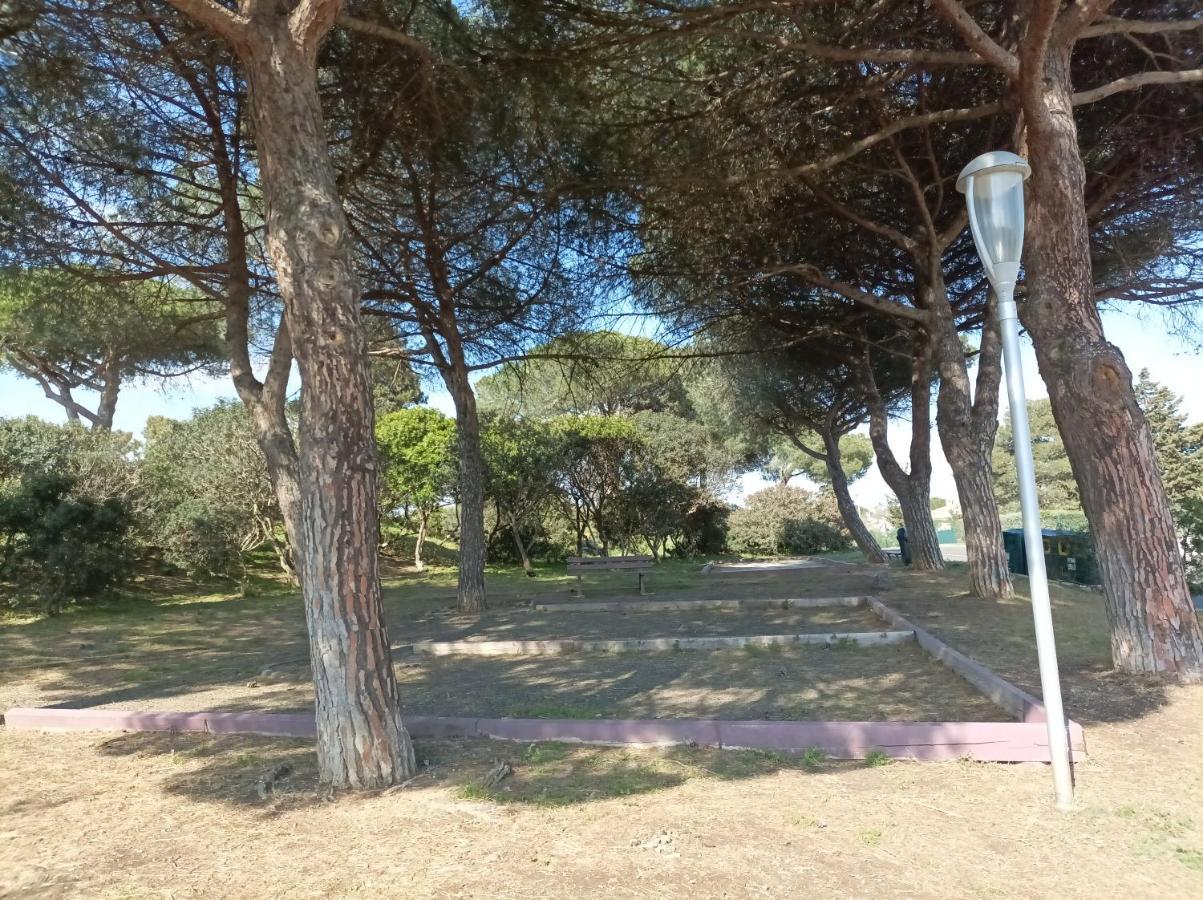 アグドLara 3 - T2 Loggia Piscine 2 Lits Doubles Parking Pres Du Centre-Port Et Ile Loisirsアパートメント エクステリア 写真